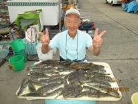 ショウサイフグ