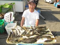 ショウサイフグ