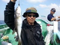 ショウサイフグ