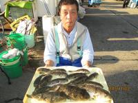 ショウサイフグ