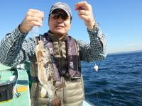 アカメ・ショウサイフグ