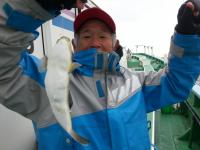 ショウサイフグ