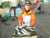 ショウサイフグ