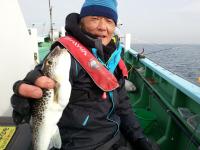ショウサイフグ