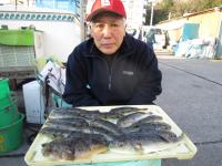 ショウサイフグ