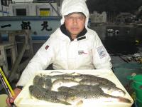 ショウサイフグ
