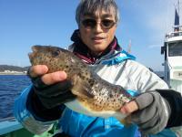 アカメ・ショウサイフグ