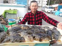 アカメ・ショウサイフグ