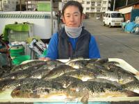 アカメ・ショウサイフグ