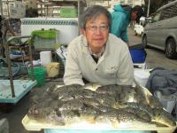 アカメ・ショウサイフグ