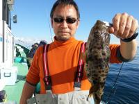 アカメ・ショウサイフグ