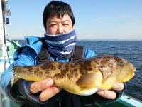 ショウサイフグ