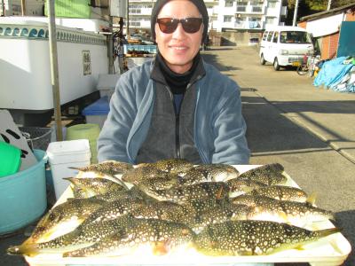 ショウサイフグ 釣り船 鴨居大室 一郎丸 東京湾 神奈川県 横須賀 三浦 ショウサイフグ 釣り船 鴨居大室 一郎丸 東京湾 神奈川県 横須賀 三浦