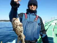 ショウサイフグ