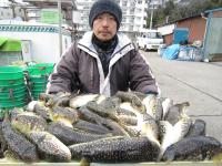 ショウサイフグ