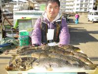 ショウサイフグ