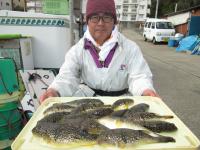 ショウサイフグ