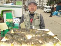 ショウサイフグ