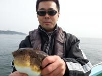 ショウサイフグ