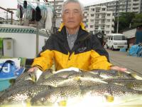 ショウサイフグ