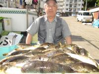 ショウサイフグ