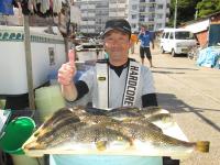ショウサイフグ