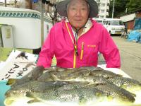 ショウサイフグ