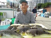 ショウサイフグ
