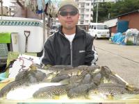 ショウサイフグ