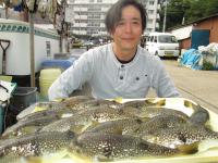 ショウサイフグ