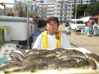 ショウサイフグ