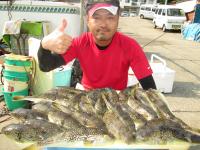 ショウサイフグ