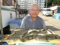 ショウサイフグ