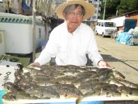 ショウサイフグ