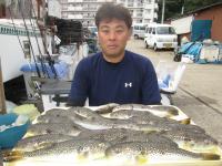 ショウサイフグ
