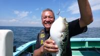 ショウサイフグ