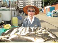 ショウサイフグ