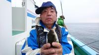 ショウサイフグ