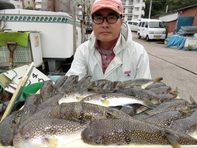 ショウサイフグ 釣り船 鴨居大室 一郎丸 東京湾 神奈川県 横須賀 三浦 ショウサイフグ 釣り船 鴨居大室 一郎丸 東京湾 神奈川県 横須賀 三浦