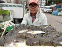 ショウサイフグ