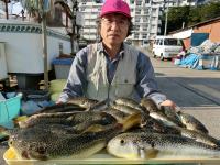 ショウサイフグ