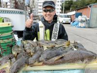 ショウサイフグ