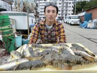 ショウサイフグ