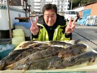 ショウサイフグ
