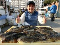 ショウサイフグ