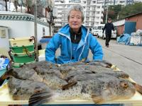 ショウサイフグ