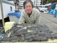 ショウサイフグ