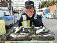 ショウサイフグ