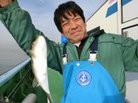 ショウサイフグ