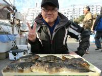 ショウサイフグ